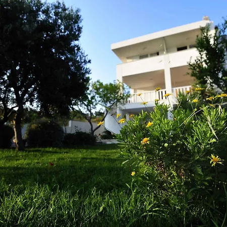 In Rogoznicko - Sibenik Riviera 36447 Zečevo